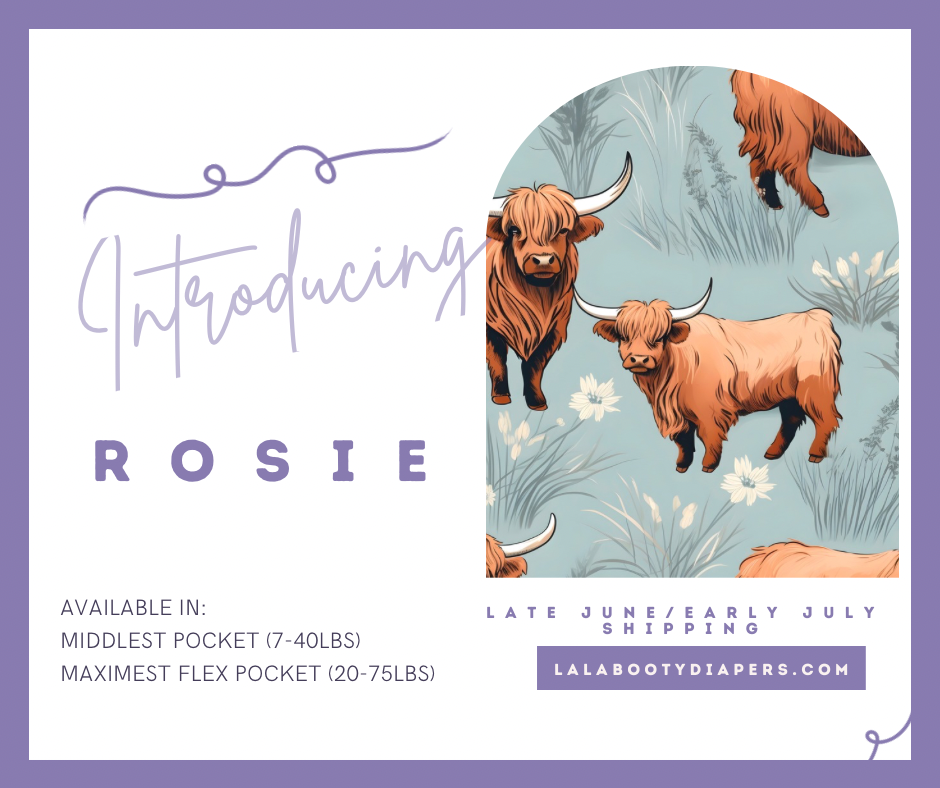 Rosie Print Pocket Diaper Middlest and Maximest Flex Sizing