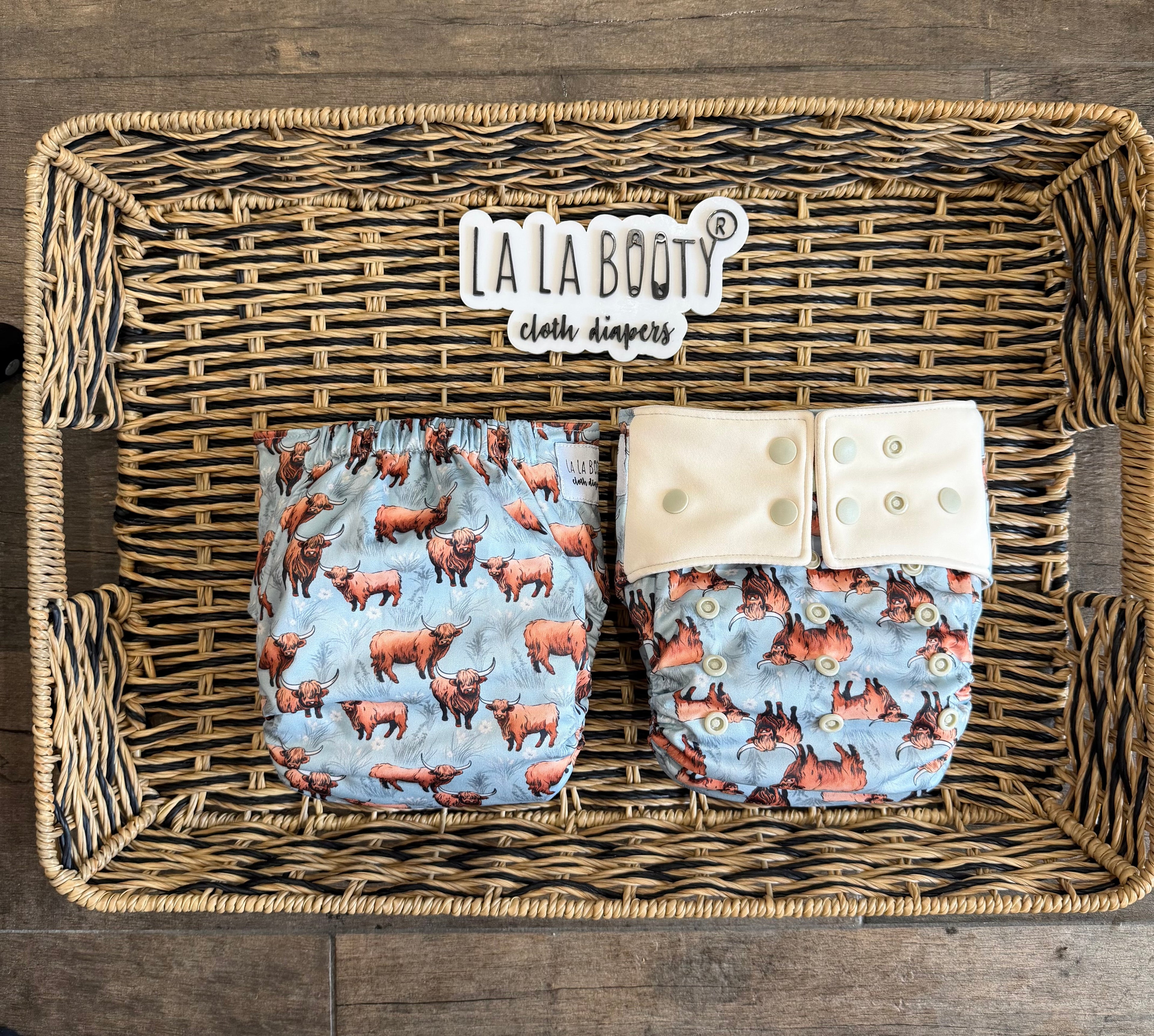 Rosie Print Pocket Diaper Middlest and Maximest Flex Sizing