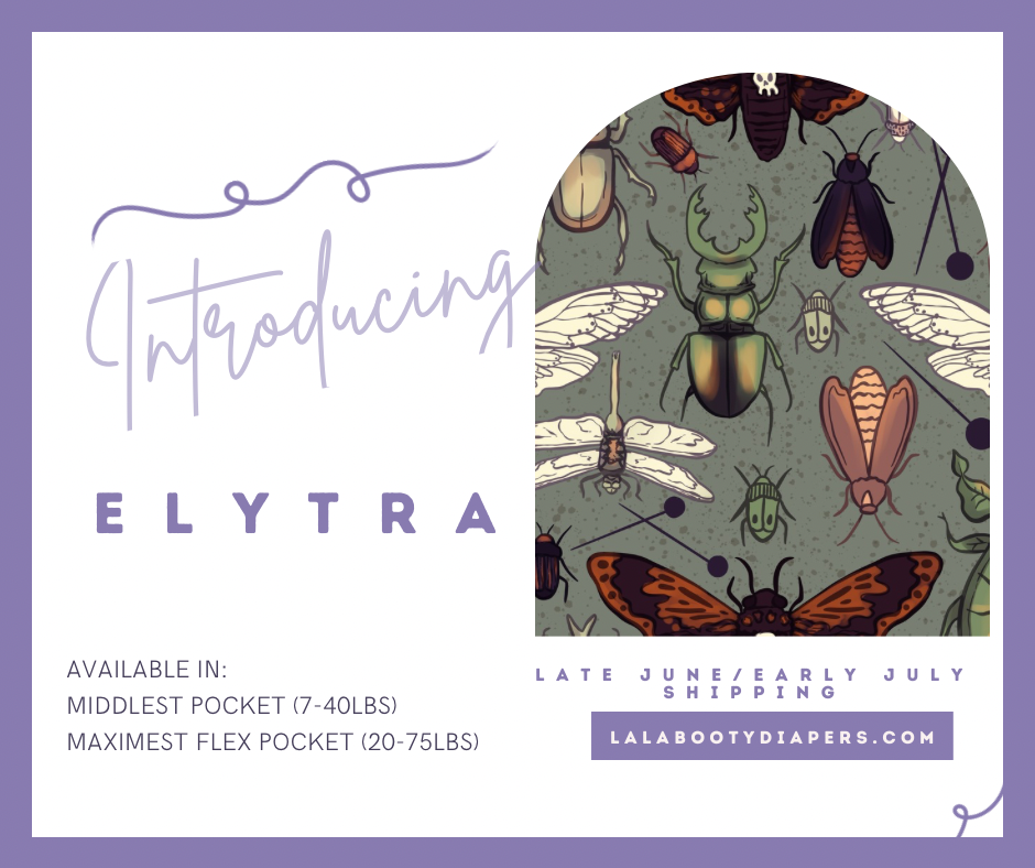 Elytra Print Pocket Diaper Middlest and Maximest Flex Sizing