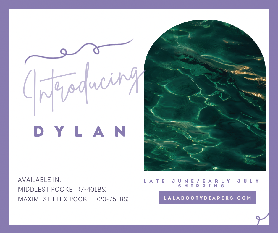 Dylan Print Pocket Diaper Middlest and Maximest Flex Sizing
