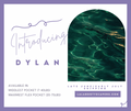Dylan Print Pocket Diaper Middlest and Maximest Flex Sizing